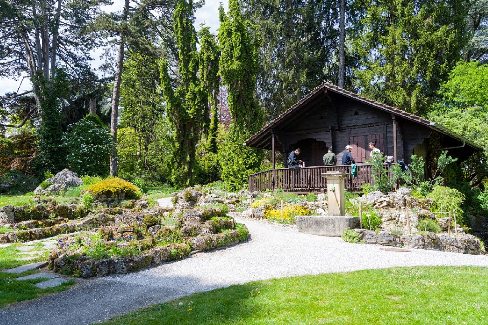 Actualités Commune de Meyrin